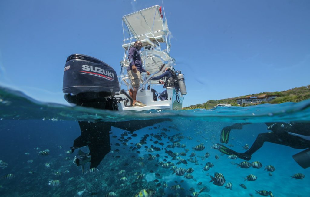 How to organize yourself for diving
