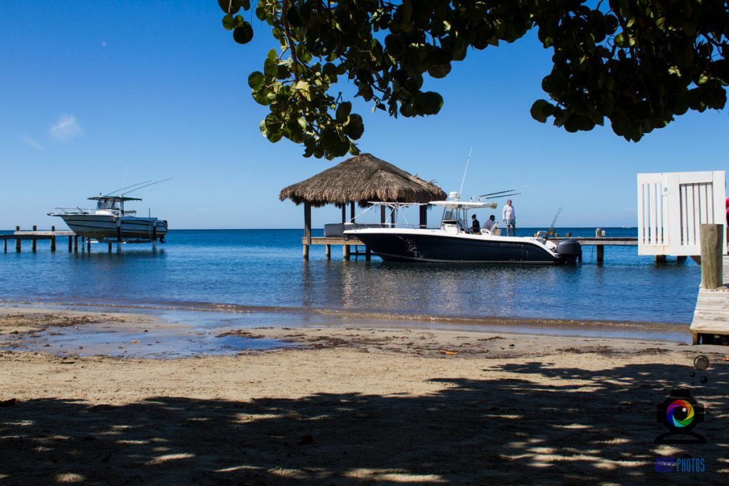 The most impressive sites to dive in Roatán